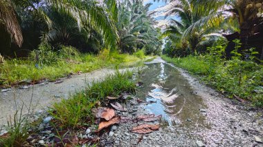 Kırsal toprak yolda sağanak yağış sonrasında durgun su havuzu yansıtıyor.