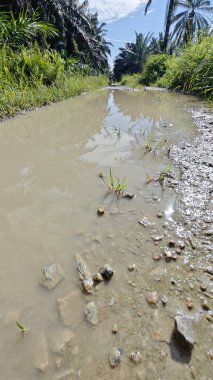 Kırsal toprak yolda sağanak yağış sonrasında durgun su havuzu yansıtıyor.