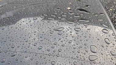 different sizes and shapes of the condensation formation bubbles on the black shiny car surface. 