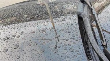 different sizes and shapes of the condensation formation bubbles on the black shiny car surface. 