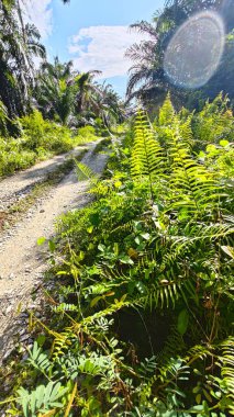 Kırsal kesimin kırsal kesimlerine doğru kırsal kesimlerin giderek azalan bakış açısının düşük açılı görüntüsü 
