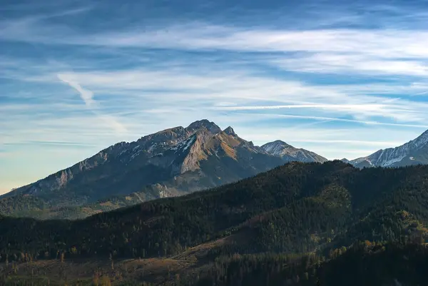 Krajobraz Górski Szarym Szczytem Górskim Zielonym Lasem Piękne Zachmurzone Niebo — Zdjęcie stockowe
