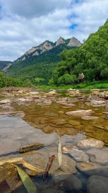 Dunajec nehri, Trzy Korony dağları, Polonya 'daki güzel yeşil yaz ormanı ve uçan ördek.