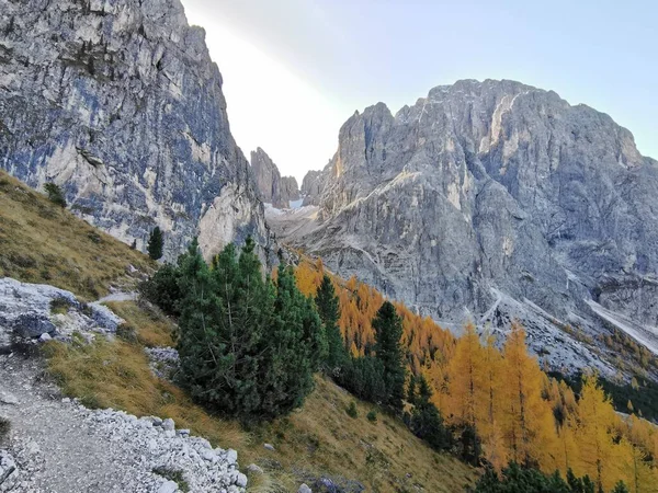 Langkofel mountain group hiking trail path to the seizer alm or toni demetz mountain cabin in autumn