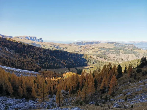 Langkofel mountain group hiking trail path to the seizer alm or toni demetz mountain cabin in autumn
