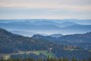 black forest with fog mist between the hills