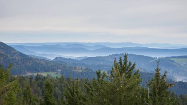 black forest with fog mist between the hills