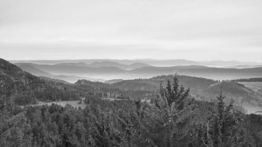 black and white picture of the black forest with fog mist between the hills