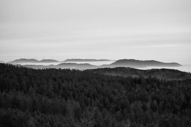 black and white picture of the black forest with fog mist between the hills