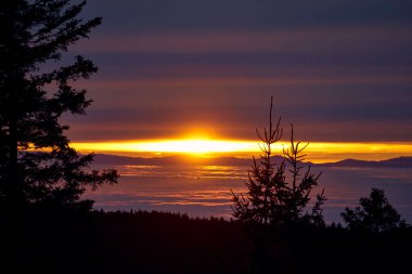 beautiful sunset over the foggy inversion rhine river valley, seen from a hill in the black forest