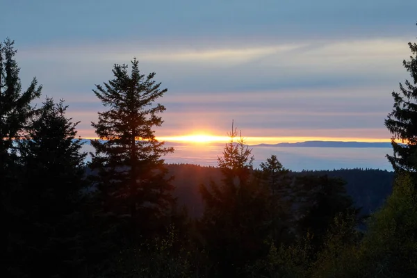 beautiful sunset over the foggy inversion rhine river valley, seen from a hill in the black forest