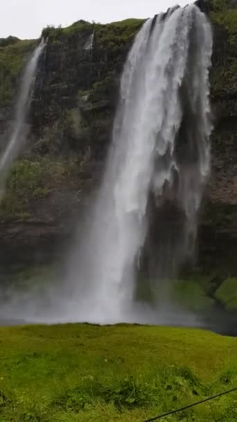 Beautiful Seljalandsfoss Iceland People — Stock Video