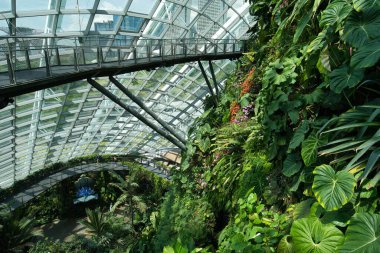 Körfez bölgesindeki bahçedeki muhteşem kubbelerden birinin içinde.