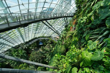 Körfez bölgesindeki bahçedeki muhteşem kubbelerden birinin içinde.