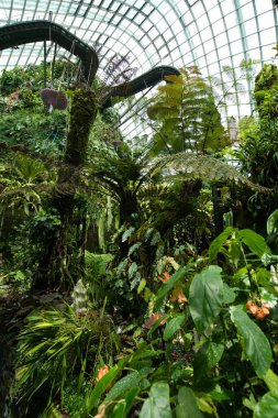 Körfez bölgesindeki bahçedeki muhteşem kubbelerden birinin içinde.