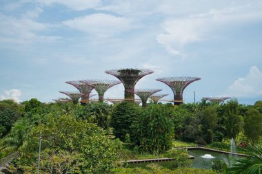 Singapur körfezindeki park bahçelerinde süper ağaçlar.