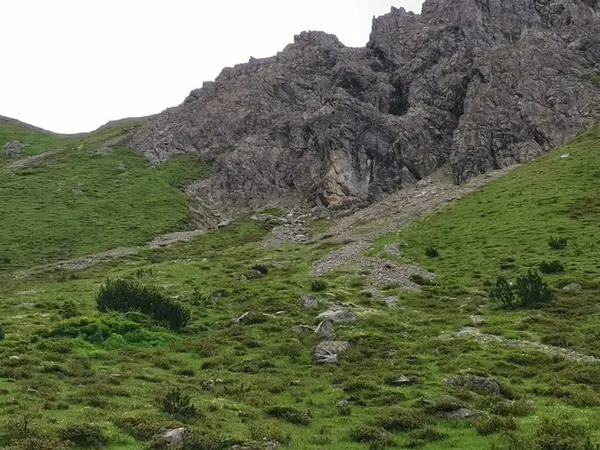 stock image path to the fiderepass hut from mittelberg, with wildlife in the distance