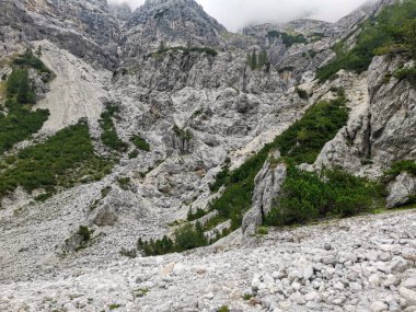 Watzmann Dağı yakınlarındaki güzel Wimbach Vadisi