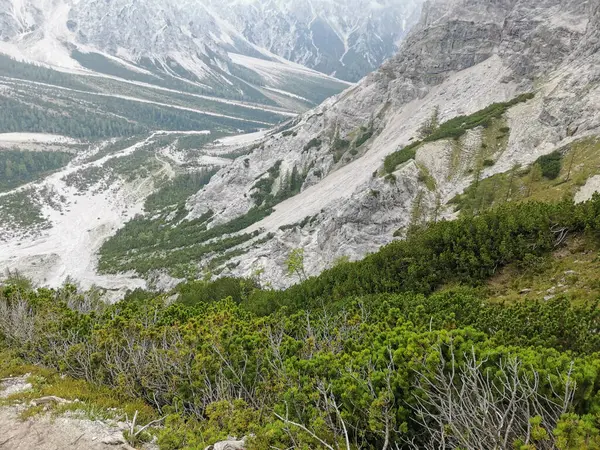 Watzmann Dağı 'nın yanındaki Wimbach Vadisi