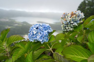 Büyük volkanik kraterler cidadları yerleştirir.