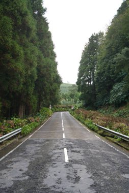 Set cidades 'in yanındaki yol, Azores.