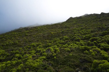 Pico yanardağının güzel manzarası