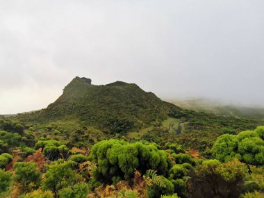 Pico Adası 'ndaki tropik volkanik arazide yürüyüş yapmak