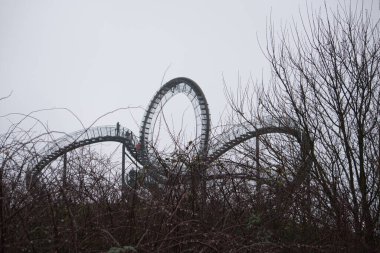 Kaplan ve Kaplumbağa Turist Çekimi