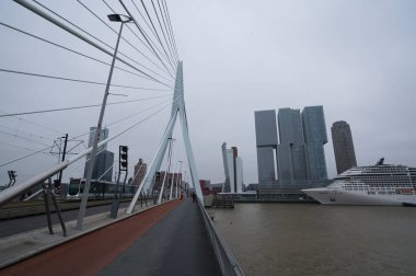 Erasmus Köprüsü ve MSC ile seyahat terminali