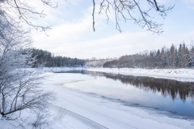 Gauja Nehri Vadisi Letonya 'da soğuk bir kış gününde.