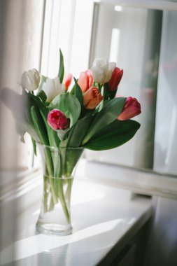 Yumuşak, parlak laleler bahar sabahı pencerenin üstündeki vazoda toplanır. Evde bahar geldi.