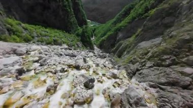 Slovenya Alplerindeki dağ nehri üzerinde uçuş. Soğuk akıntının tazeliği aydınlık yaz günündeki zirveden 