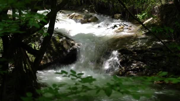 Río Montaña Puro Arroyo — Vídeos de Stock