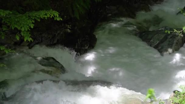 Czysta Górska Rzeka Strumień — Wideo stockowe