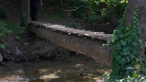 林间小河上的木桥 人行桥 — 图库视频影像