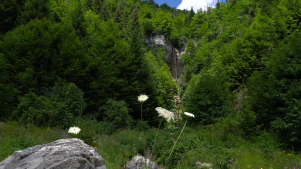 Waterval Sastavac Vlasic Mountain Bosnië Herzegovina — Stockvideo