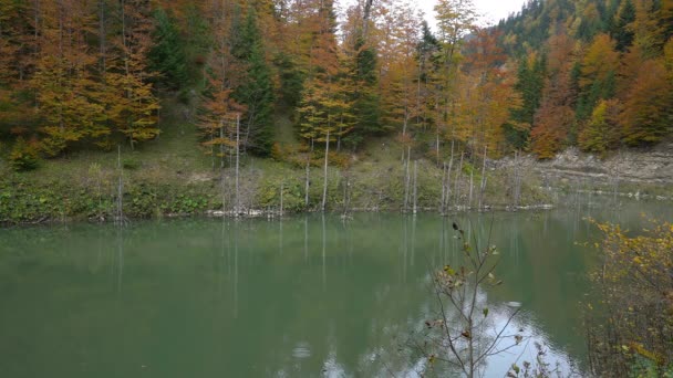 ヤセニツァ湖 ヴラツ山脈 ボスニア ヘルツェゴビナ — ストック動画