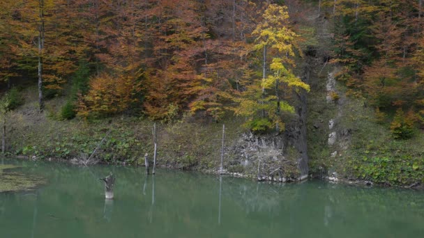 Lago Jasenica Montaña Vlásica Bosnia Herzegovina — Vídeos de Stock