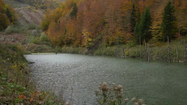Jasenica Gölü Vlasiç Dağı Bosna Hersek — Stok video