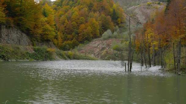 波斯尼亚和黑塞哥维那Vlasic山Jasenica湖 — 图库视频影像