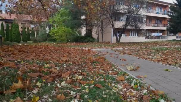 Wind Trägt Herbstlaub Den Stadtpark — Stockvideo