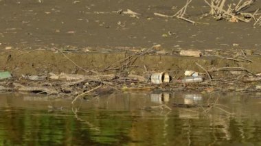 Nehir yatağında çöp ve plastik atık