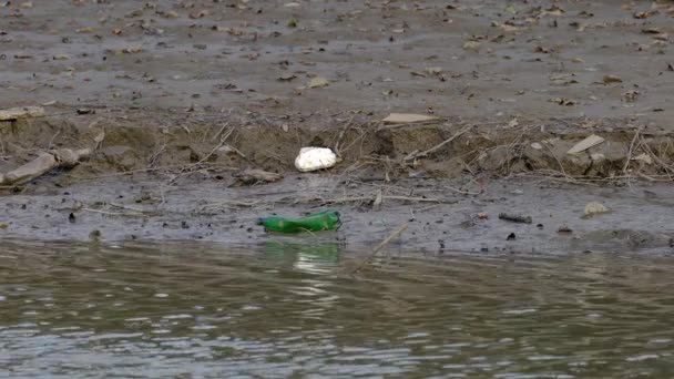 Nehir Yatağında Çöp Plastik Atık — Stok video