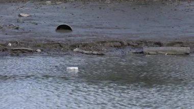 Nehir yatağında çöp ve plastik atık