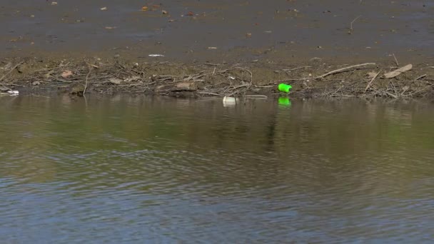 Garbage Plastic Waste River Bed — Stock Video