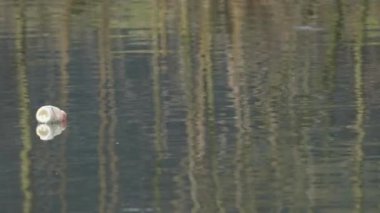 Çöp ve plastik atık su üzerinde yüzer, plastik şişe