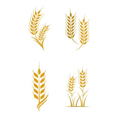 Tarım buğday logosu vektör ikonu tasarımı