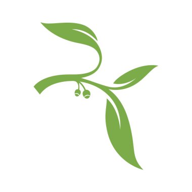 Okaliptüs çiçekli logo vektör şablonu tasarımı bırakır 