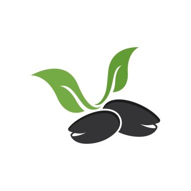 Fıstık fıstığı logo vektör resim tasarımı 