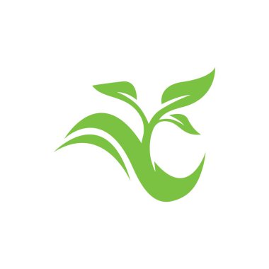 Yeşil hidroponik logo vektör çizim tasarımı işareti 